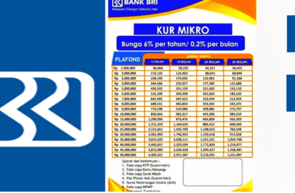 KUR BRI 2025, Ini Daftar Pinjaman dan Tabel Angsuran Terbaru KUR BRI 2025, Ini Daftar Pinjaman dan Tabel Angsuran Terbaru