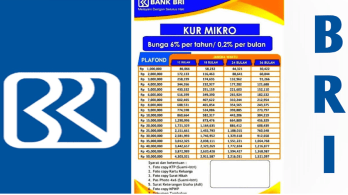 Cek Syarat, Cara Pengajuan kur.bri.co.id, Lengkap Tabel Angsuran ... KUR BRI 2025, Ini Daftar Pinjaman dan Tabel Angsuran Terbaru