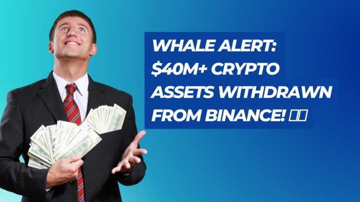 ZEC 巨鲸警报：20.21 万枚 $ZEC 以 437 美元从币安提至链上，日内涨 12% — 地址曝光与交易观察