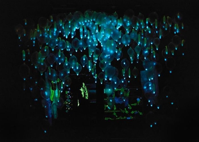 ‘Avatar: Fire and Ash’ lights up the box office with million opening